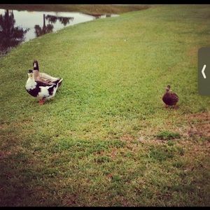 Meet your Posher, Jesse